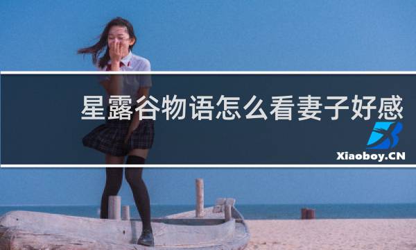 星露谷物语怎么看妻子好感