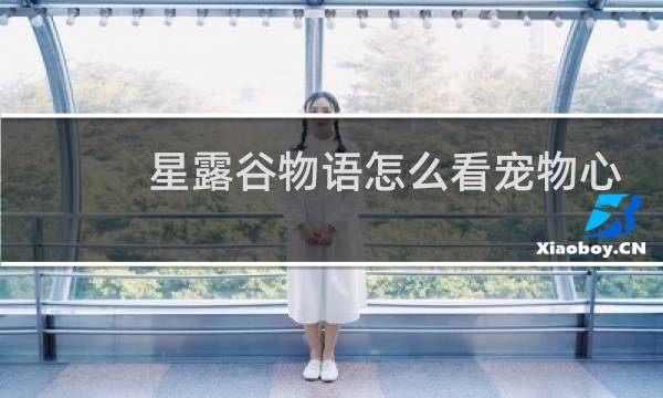 星露谷物语怎么看宠物心