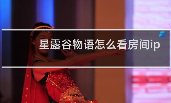 星露谷物语怎么看房间ip