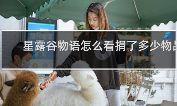星露谷物语怎么看捐了多少物品
