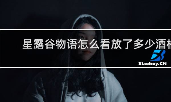 星露谷物语怎么看放了多少酒桶