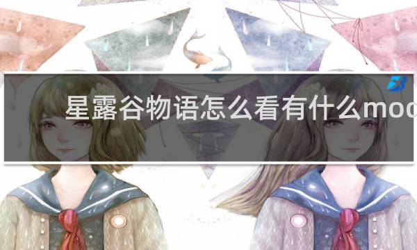 星露谷物语怎么看有什么mod