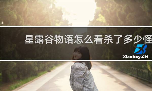 星露谷物语怎么看杀了多少怪