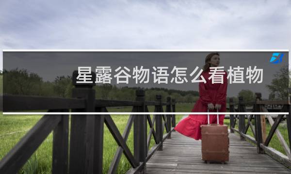 星露谷物语怎么看植物