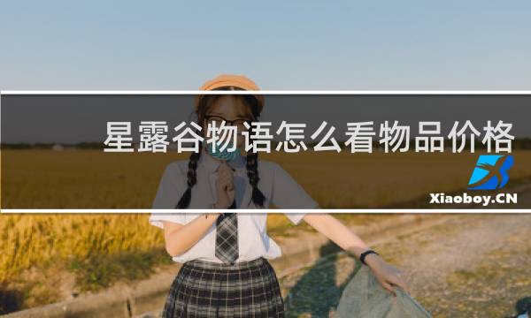 星露谷物语怎么看物品价格
