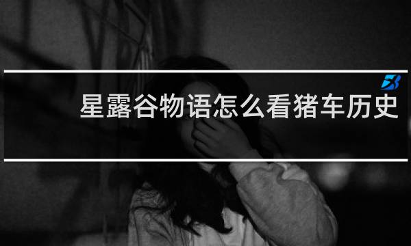 星露谷物语怎么看猪车历史