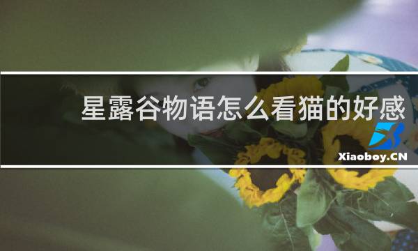 星露谷物语怎么看猫的好感