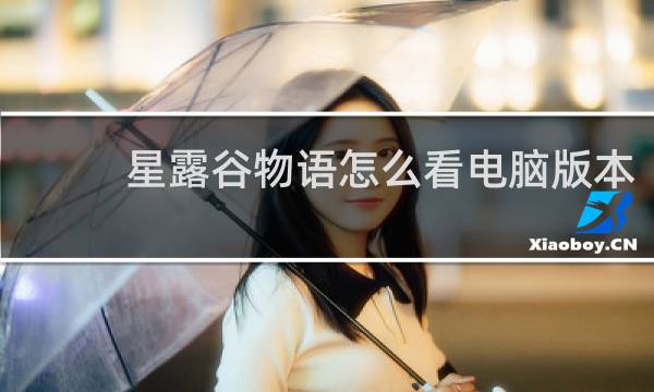 星露谷物语怎么看电脑版本