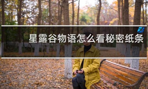 星露谷物语怎么看秘密纸条