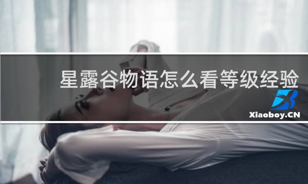 星露谷物语怎么看等级经验