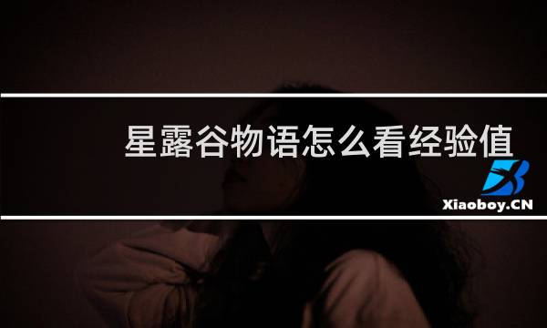 星露谷物语怎么看经验值