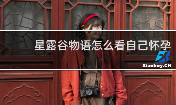 星露谷物语怎么看自己怀孕