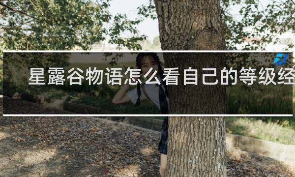 星露谷物语怎么看自己的等级经验