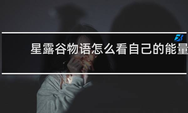 星露谷物语怎么看自己的能量