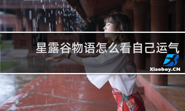 星露谷物语怎么看自己运气