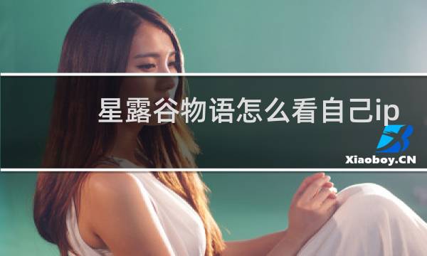 星露谷物语怎么看自己ip