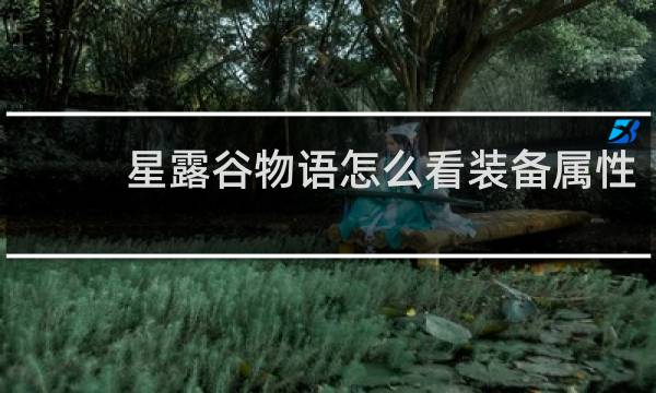 星露谷物语怎么看装备属性