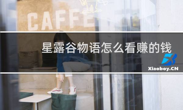 星露谷物语怎么看赚的钱