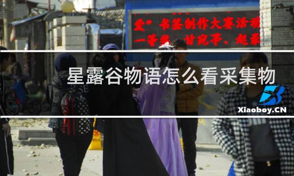 星露谷物语怎么看采集物