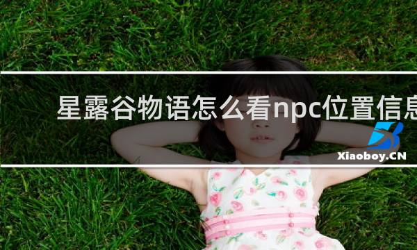 星露谷物语怎么看npc位置信息