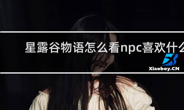 星露谷物语怎么看npc喜欢什么