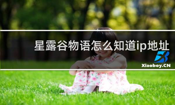 星露谷物语怎么知道ip地址