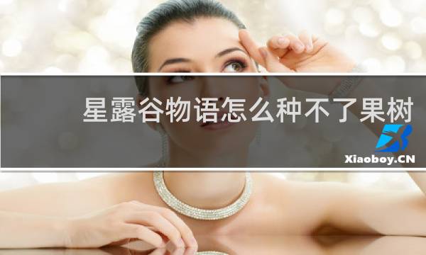 星露谷物语怎么种不了果树