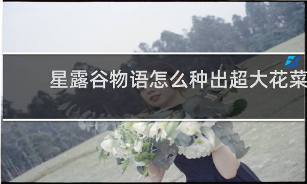 星露谷物语怎么种出超大花菜