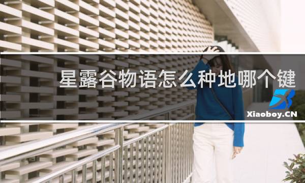 星露谷物语怎么种地哪个键