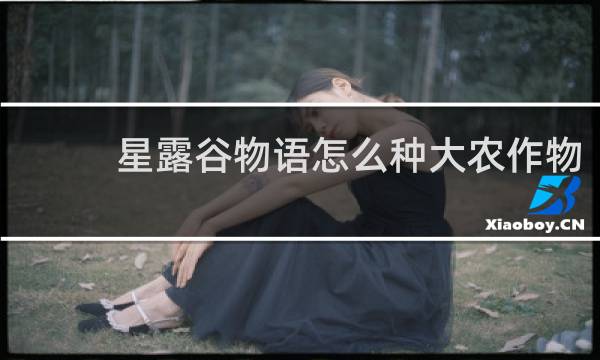 星露谷物语怎么种大农作物
