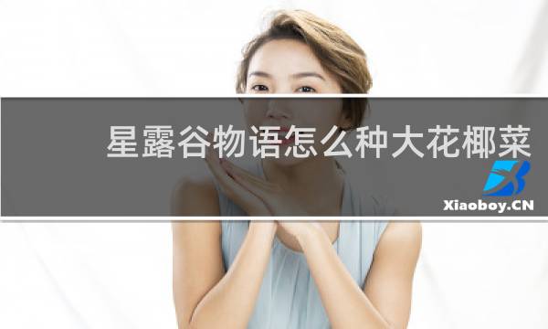 星露谷物语怎么种大花椰菜