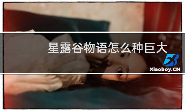 星露谷物语怎么种巨大