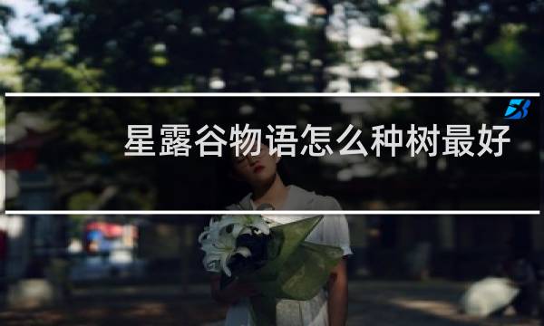 星露谷物语怎么种树最好