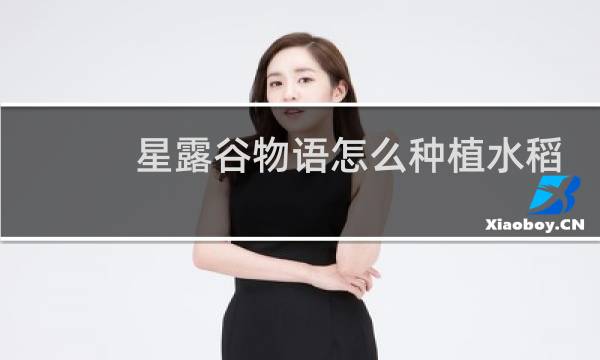 星露谷物语怎么种植水稻
