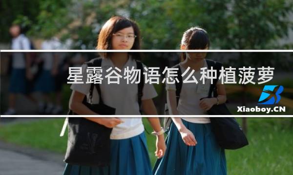 星露谷物语怎么种植菠萝