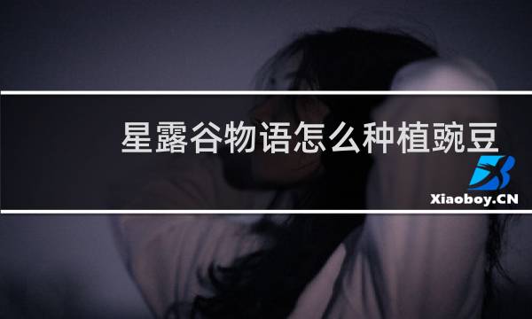 星露谷物语怎么种植豌豆