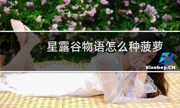 星露谷物语怎么种菠萝