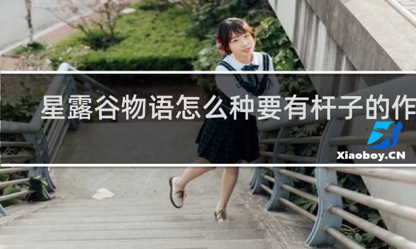 星露谷物语怎么种要有杆子的作物