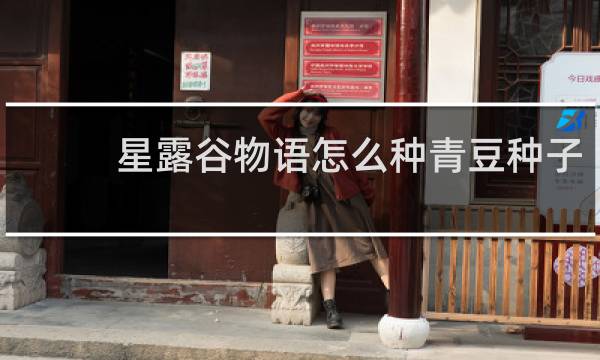 星露谷物语怎么种青豆种子