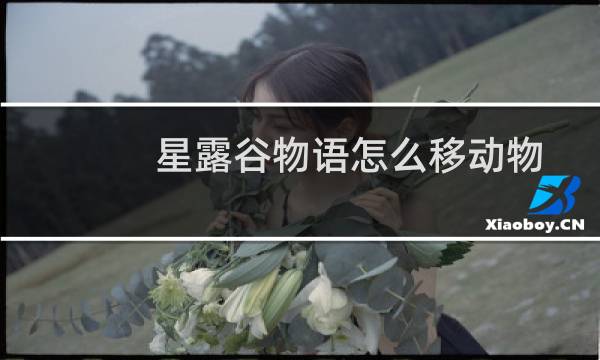 星露谷物语怎么移动物