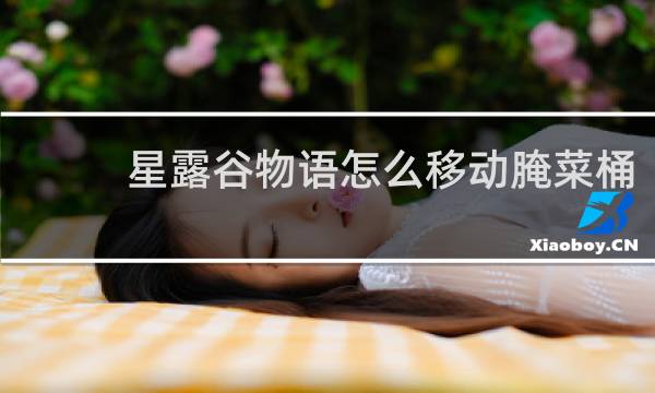 星露谷物语怎么移动腌菜桶