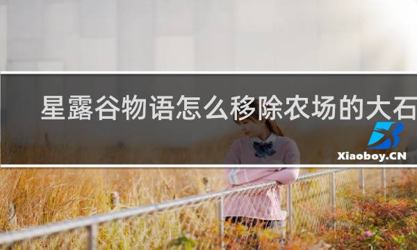 星露谷物语怎么移除农场的大石头