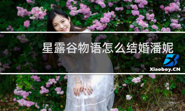 星露谷物语怎么结婚潘妮