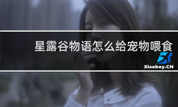 星露谷物语怎么给宠物喂食