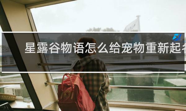 星露谷物语怎么给宠物重新起名