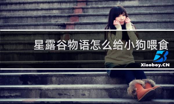 星露谷物语怎么给小狗喂食