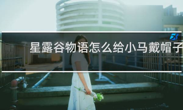 星露谷物语怎么给小马戴帽子