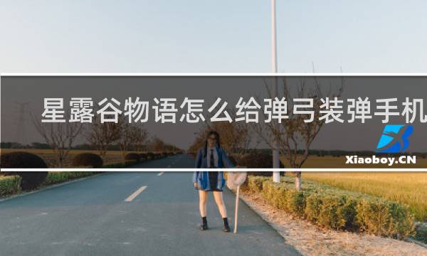 星露谷物语怎么给弹弓装弹手机版