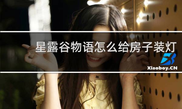 星露谷物语怎么给房子装灯