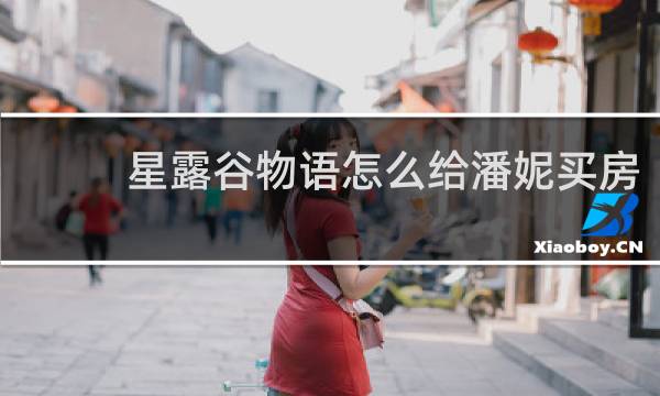 星露谷物语怎么给潘妮买房